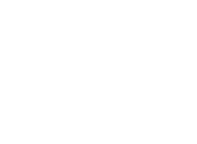 返回 EL NIDO GO 首頁